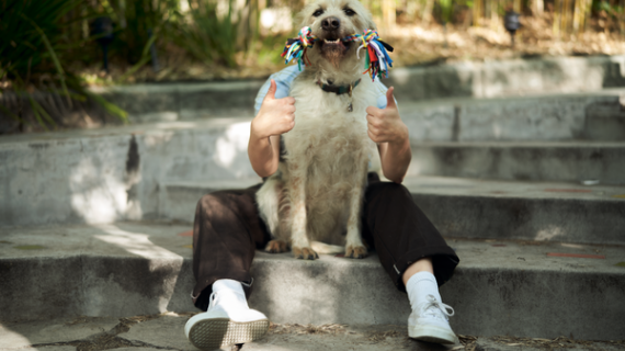 Uber lanza campaña para promover la adopción responsable de lomitos