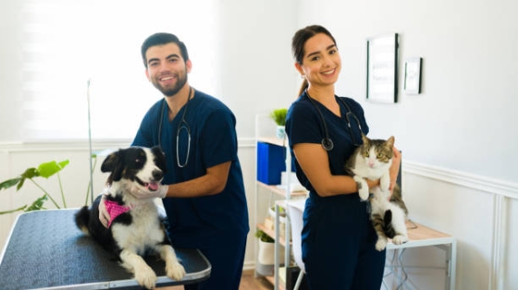 Gracias a la prevención por vacunación, México es libre de rabia humana transmitida por perros