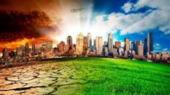 Resultados concretos y medibles ante el cambio climático